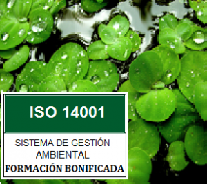 2-1-5-1_ISO.14001_FORMACION