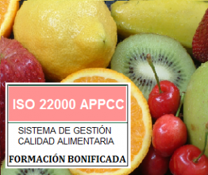 2-1-8-5_22000_APPCC_FORMACION